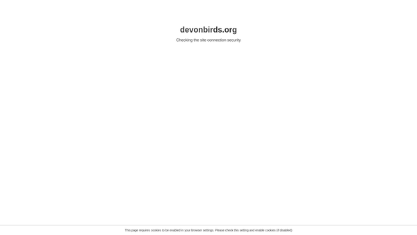 Screenshot of the Devon Birds website