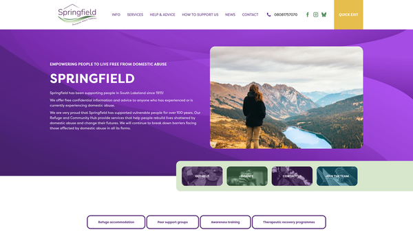 Screenshot of the Springfield Domestic Abuse Support website