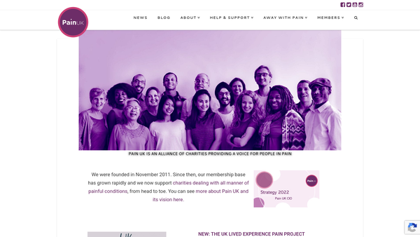 Screenshot of the Pain UK CIO website
