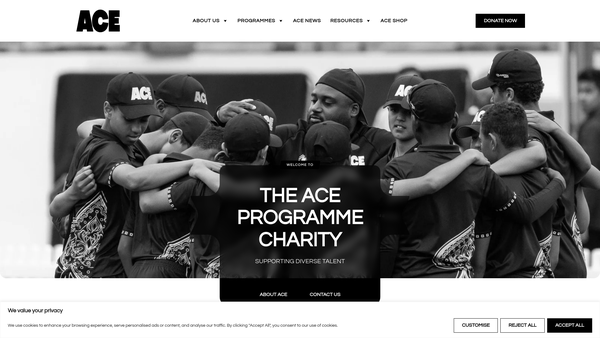 Screenshot of the ACE Programme website