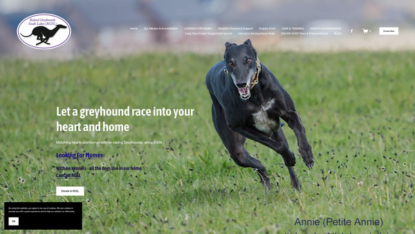 Screenshot of the Retired Greyhounds South Lakes website
