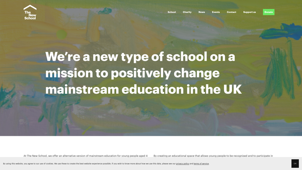 Screenshot of the The New School website