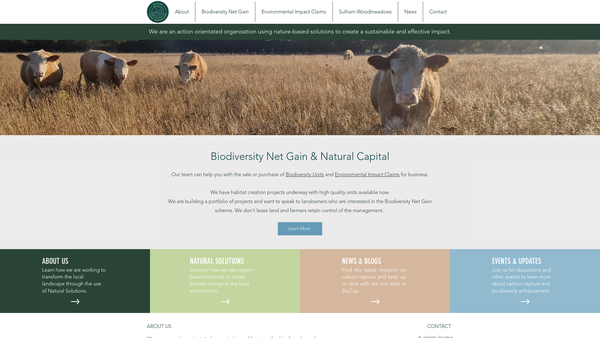 Screenshot of the Biocap Limited website