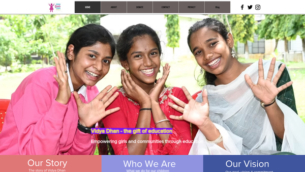Screenshot of the Vidya Dhan website