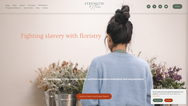 Screenshot of the Strength & Stem Ltd website