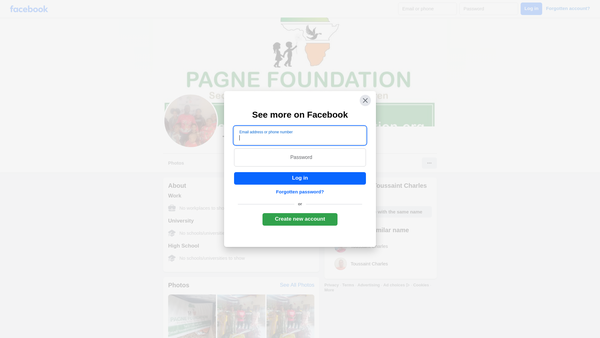 Screenshot of the Pagne Foundation website