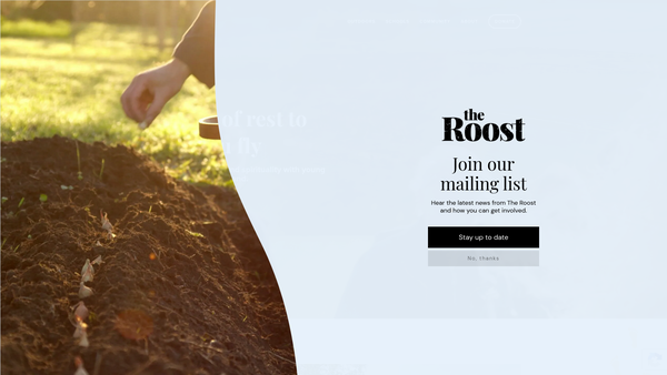 Screenshot of the The Roost website