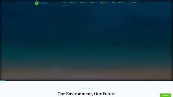 Screenshot of the Global Waste Cleaning Network website