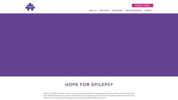 Screenshot of the HOPE for Epilepsy website