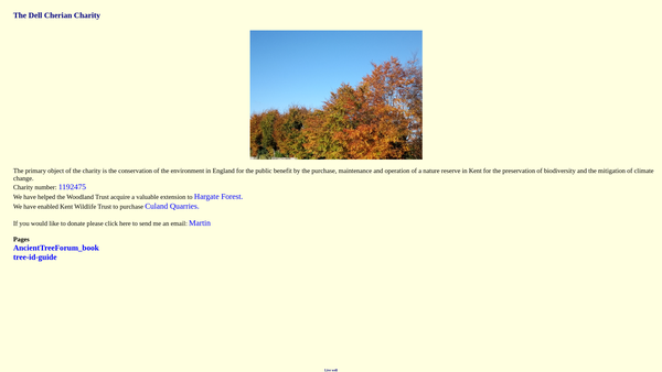 Screenshot of the The Dell Cherian Charity website