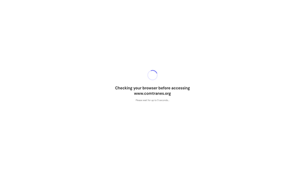 Screenshot of the Community Transformers Empowerment Services website
