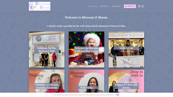 Screenshot of the Blossom & Bloom website