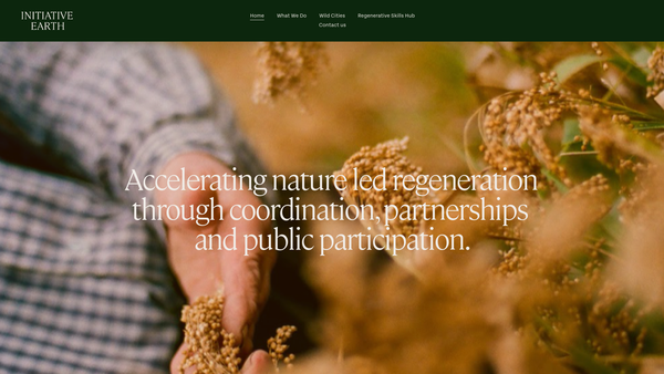 Screenshot of the Initiative Earth website