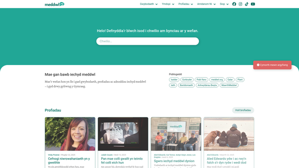 Screenshot of the Meddwl.org website