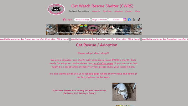 Screenshot of the Cat Watch Rescue Shelter website