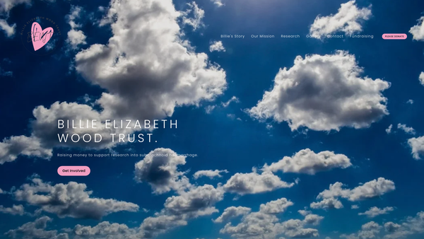 Screenshot of the The Billie Elizabeth Wood Trust website