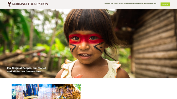 Screenshot of the Kurikindi Foundation website