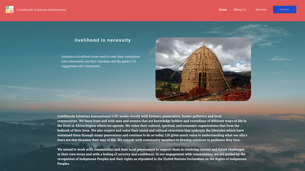 Screenshot of the Livelihoods Solutions International ( Ls I ) website