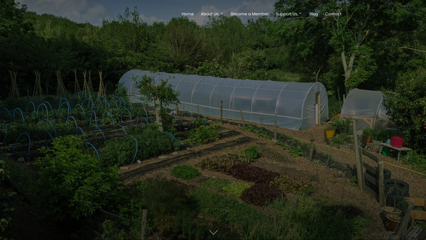 Screenshot of the Living Vital website