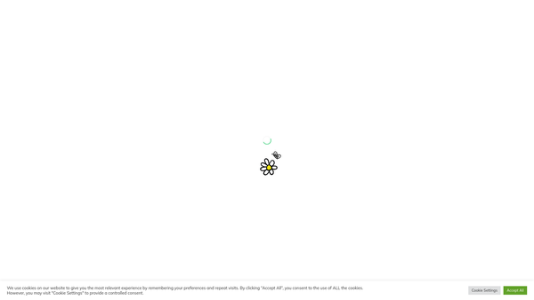 Screenshot of the V&C Foundation website
