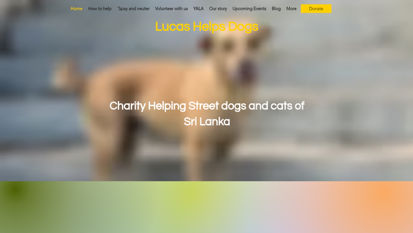 Screenshot of the Lucas Helps Dogs website