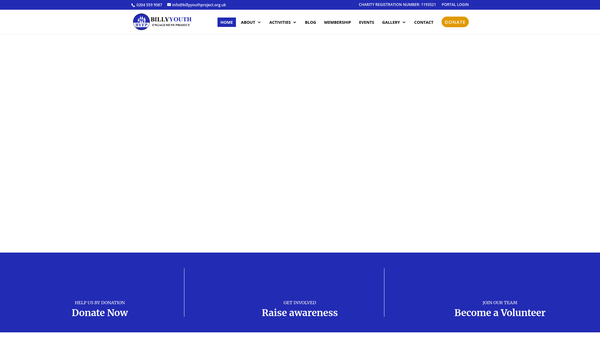 Screenshot of the Billy Youth Engagement Project website