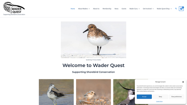Screenshot of the Wader Quest website