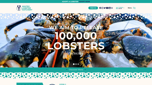 Screenshot of the North Sea Conservation website