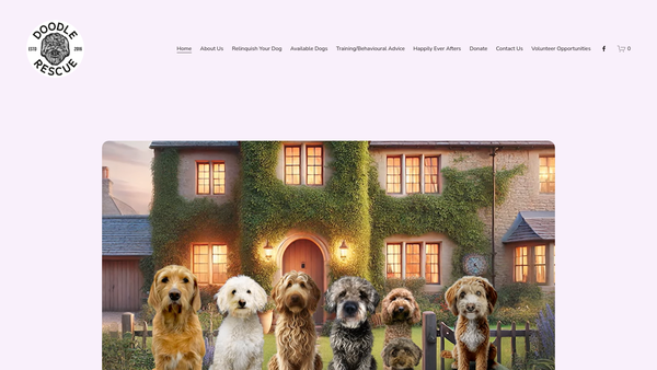 Screenshot of the Doodle Rescue website