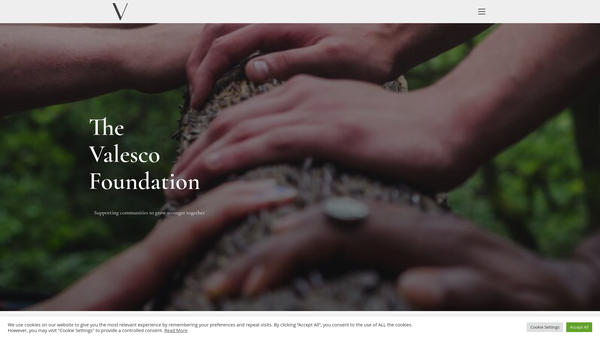 Screenshot of the The Valesco Foundation website