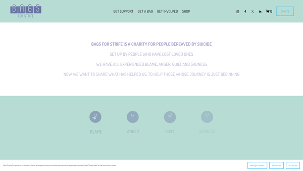 Screenshot of the Bags For Strife website