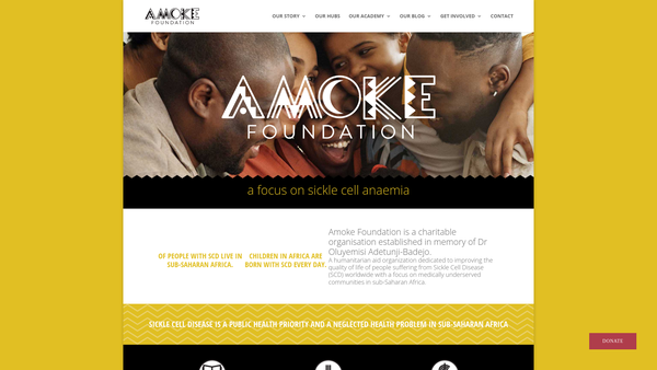 Screenshot of the Amoke Scd Ltd website