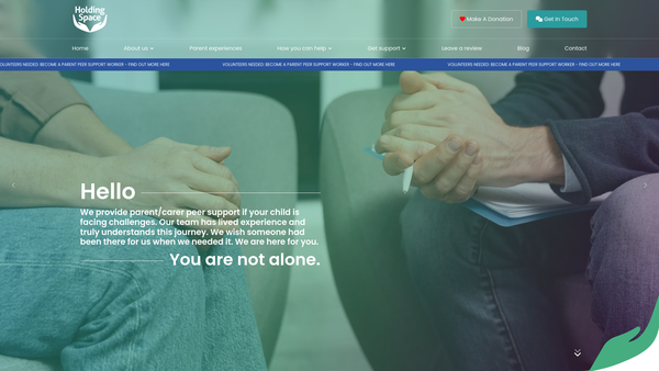 Screenshot of the Holding Space website