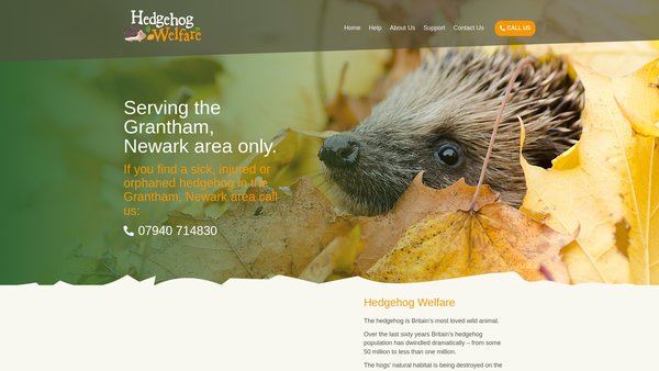 Screenshot of the Hedgehog Welfare website