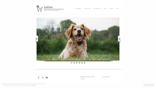 Screenshot of the Setter Brittany Pointer Rescue website