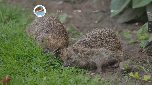 Screenshot of the Hedgepigs And Hoglets Rescue website
