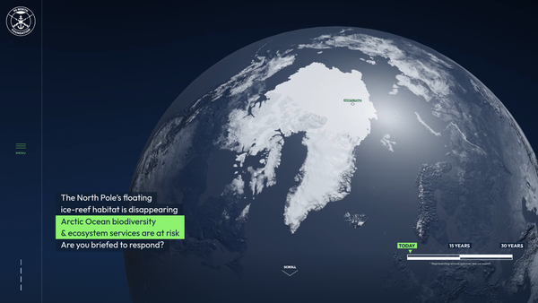 Screenshot of the 90 North Foundation website