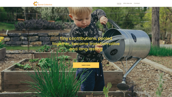 Screenshot of the Barnet Collective website