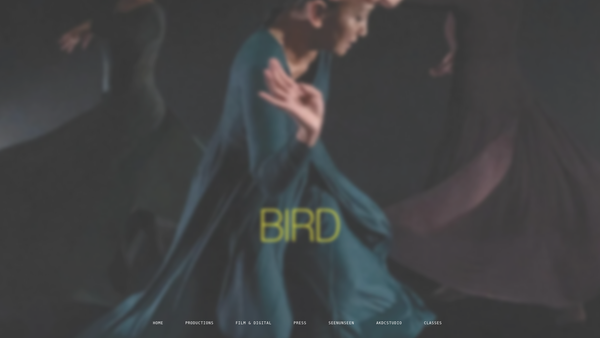 Screenshot of the Amina Khayyam Dance Company website