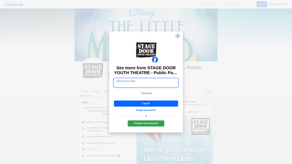 Screenshot of the Stage Door Youth Theatre website