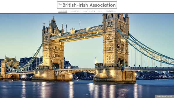 Screenshot of the The British Irish Association website