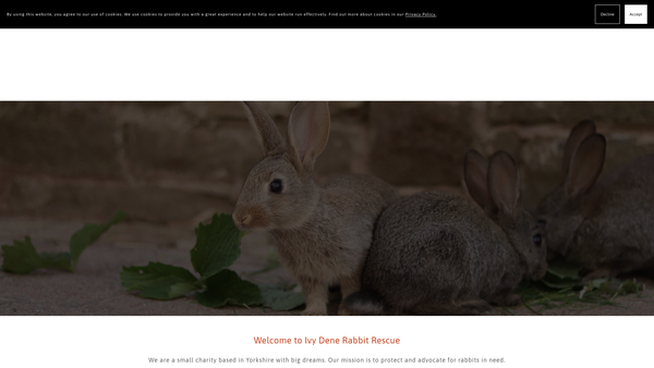 Screenshot of the Ivy Dene Rabbit Rescue website