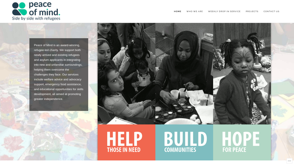 Screenshot of the Peace Of Mind CIO website