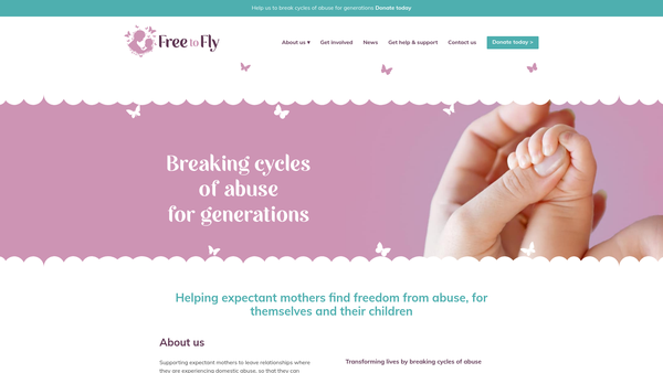 Screenshot of the Free To Fly website