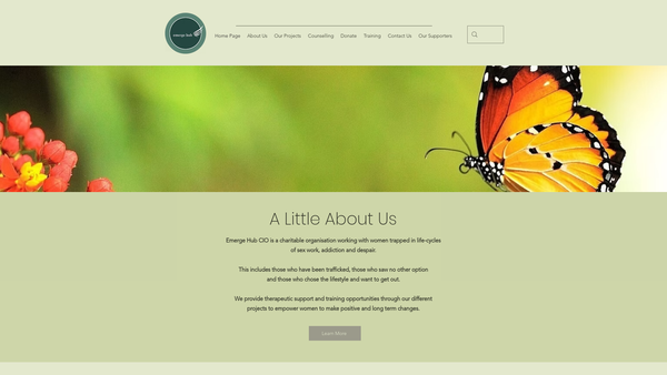 Screenshot of the Emerge Hub CIO website