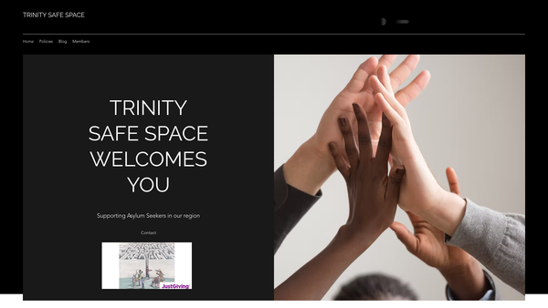 Screenshot of the Trinity Safe Space website