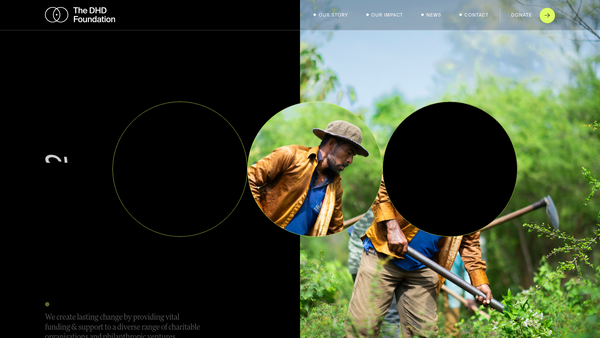 Screenshot of the Dhd Foundation website