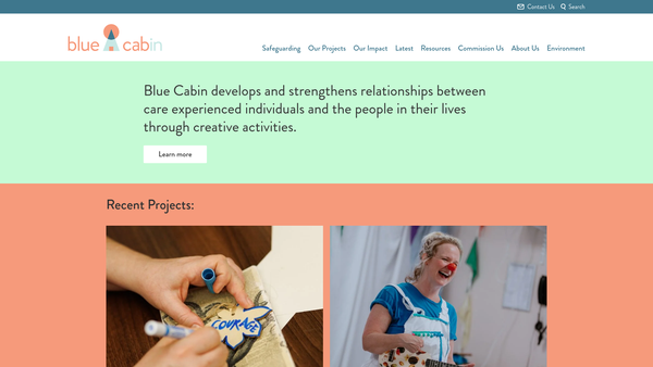 Screenshot of the Blue Cabin CIO website