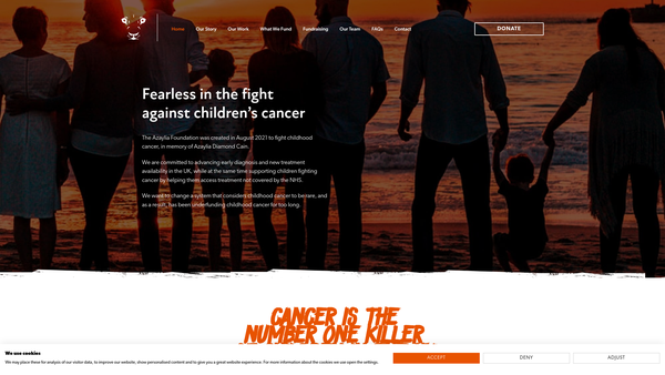 Screenshot of the Azaylia Foundation website