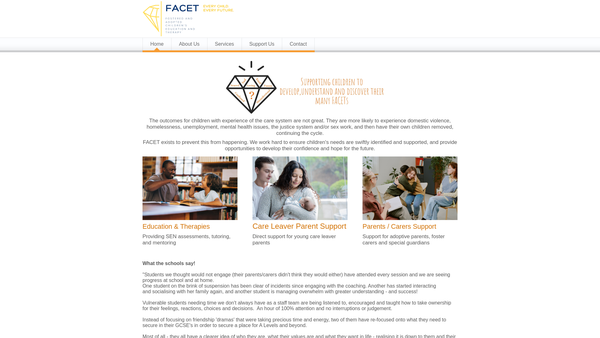 Screenshot of the Facet CIO website